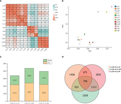 Integrative analysis of transcriptome and metabolome revealed the mechanisms by which flavonoids and phytohormones regulated the adaptation of alfalfa roots to NaCl stress